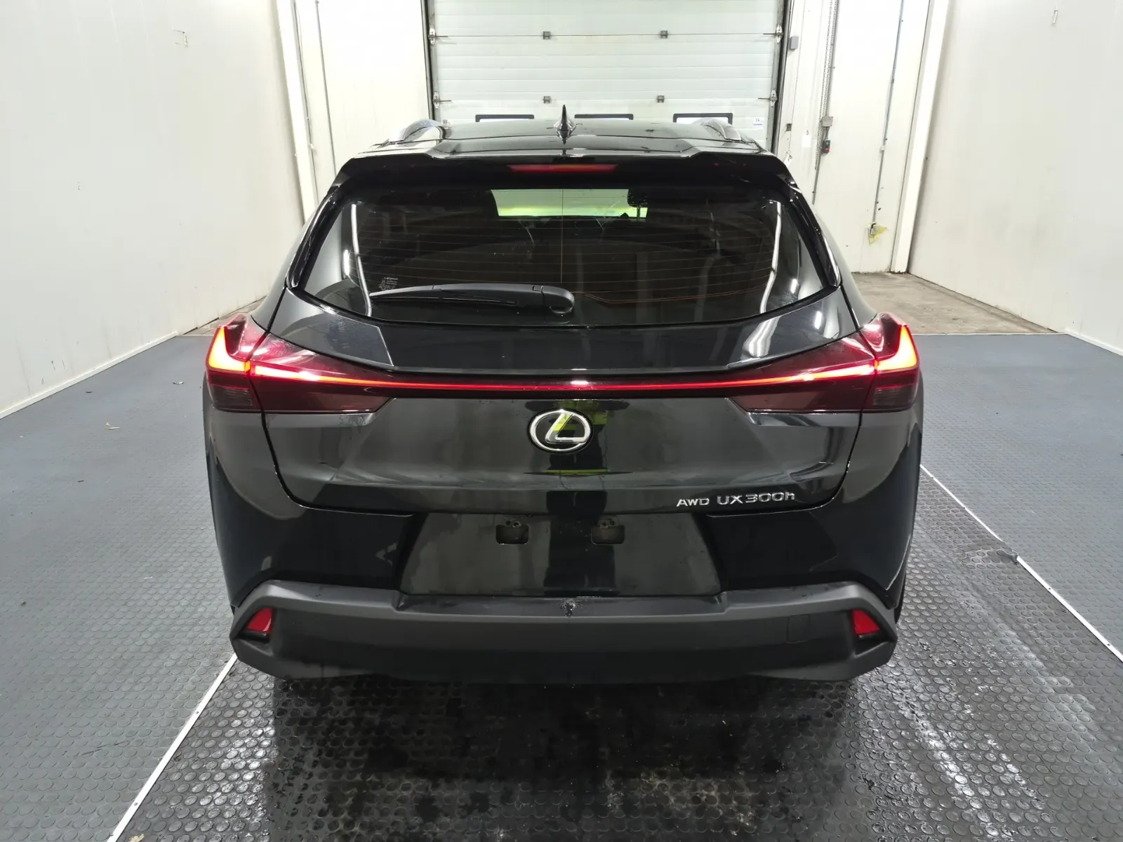 Full Rear Photo