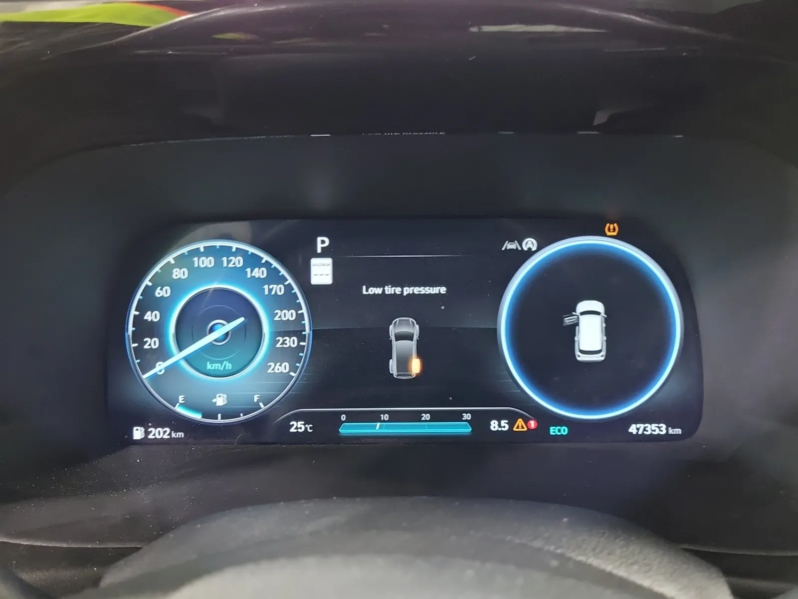 Odometer Photo