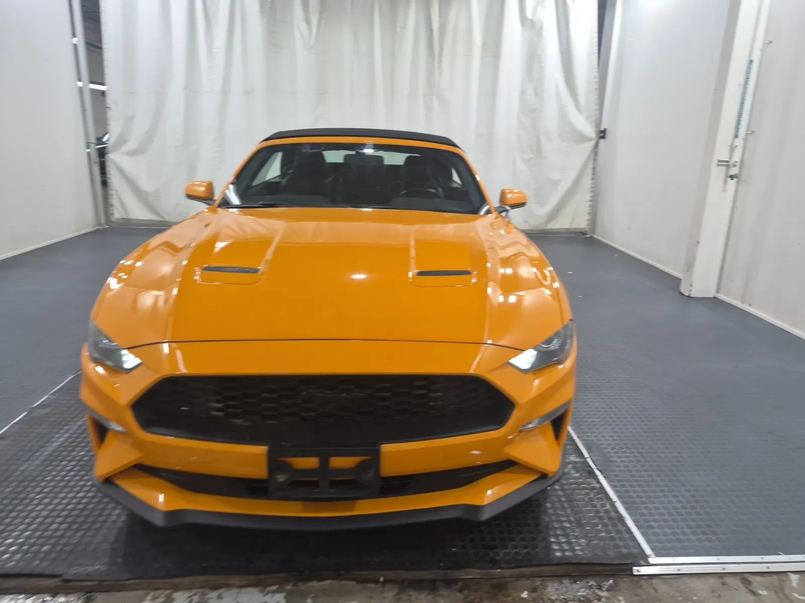 Full Front Photo