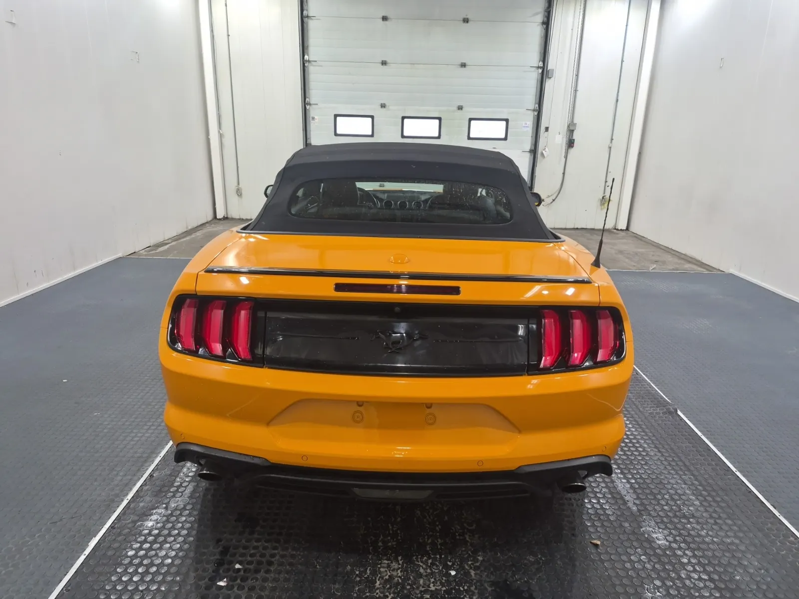 Full Rear Photo