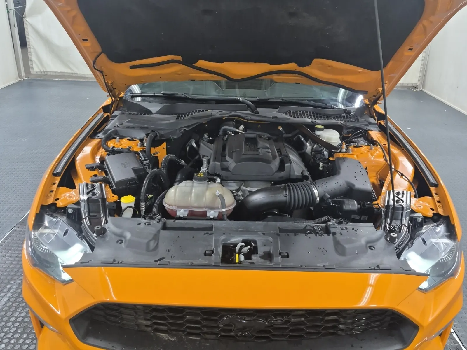 Engine Photo