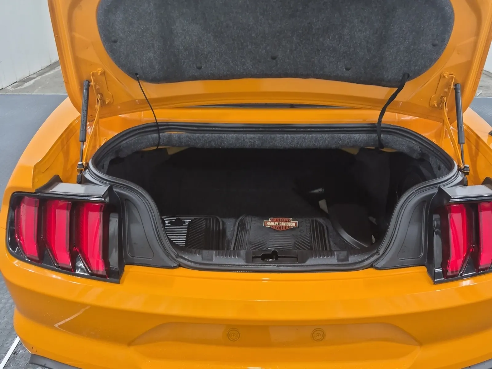 Cargo Area Photo