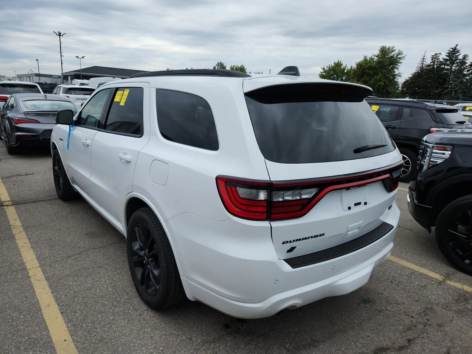 Driver Rear 3/4 Photo