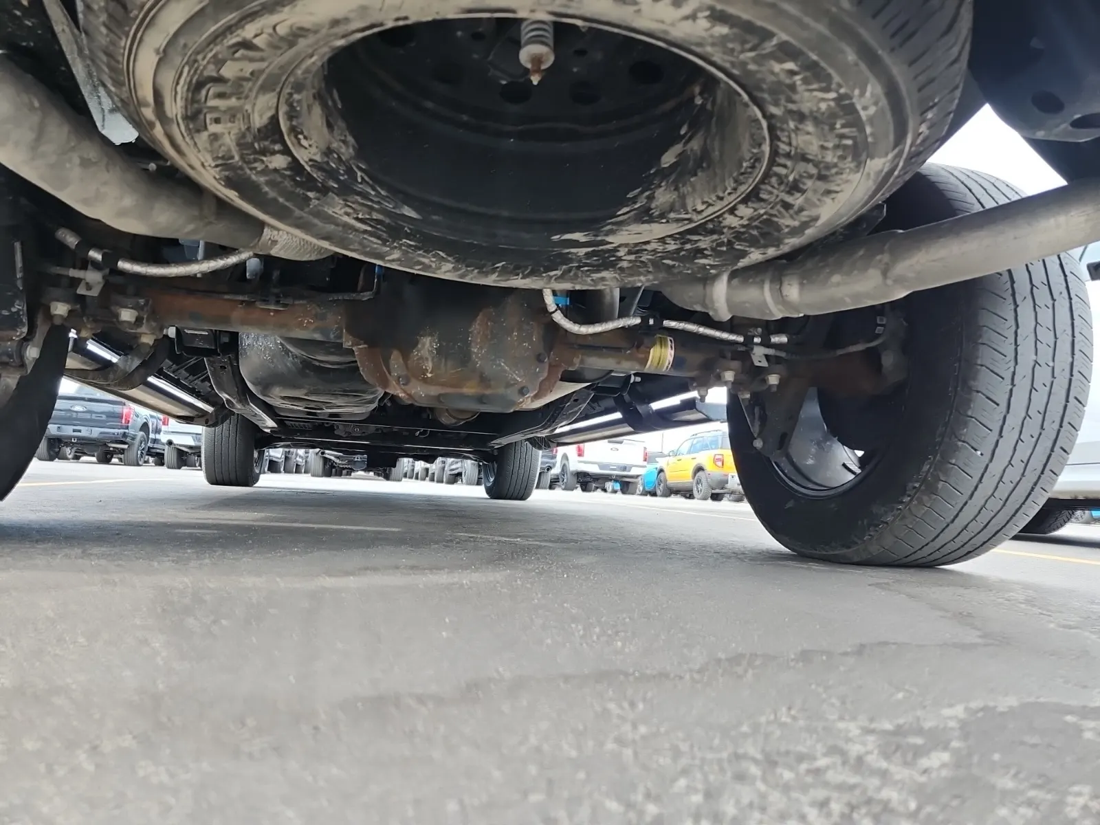 Undercarriage - Rear Photo