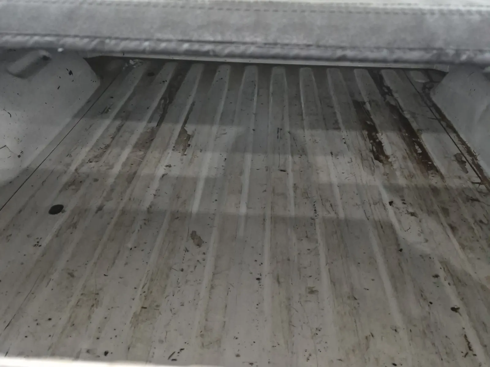 Cargo Area Photo