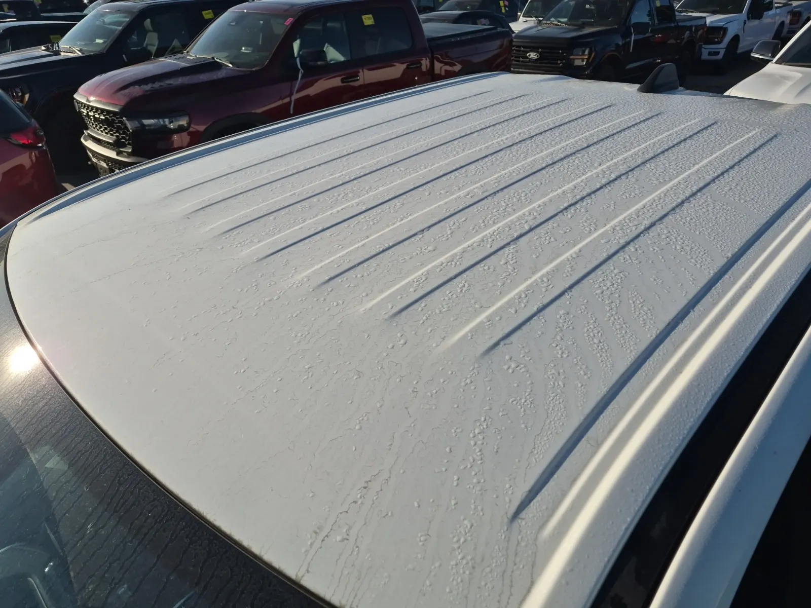 Exterior Roof Photo