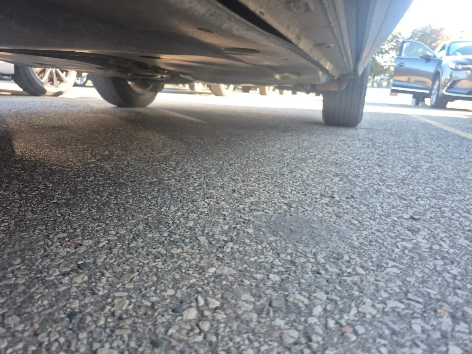 Undercarriage - Driver Photo