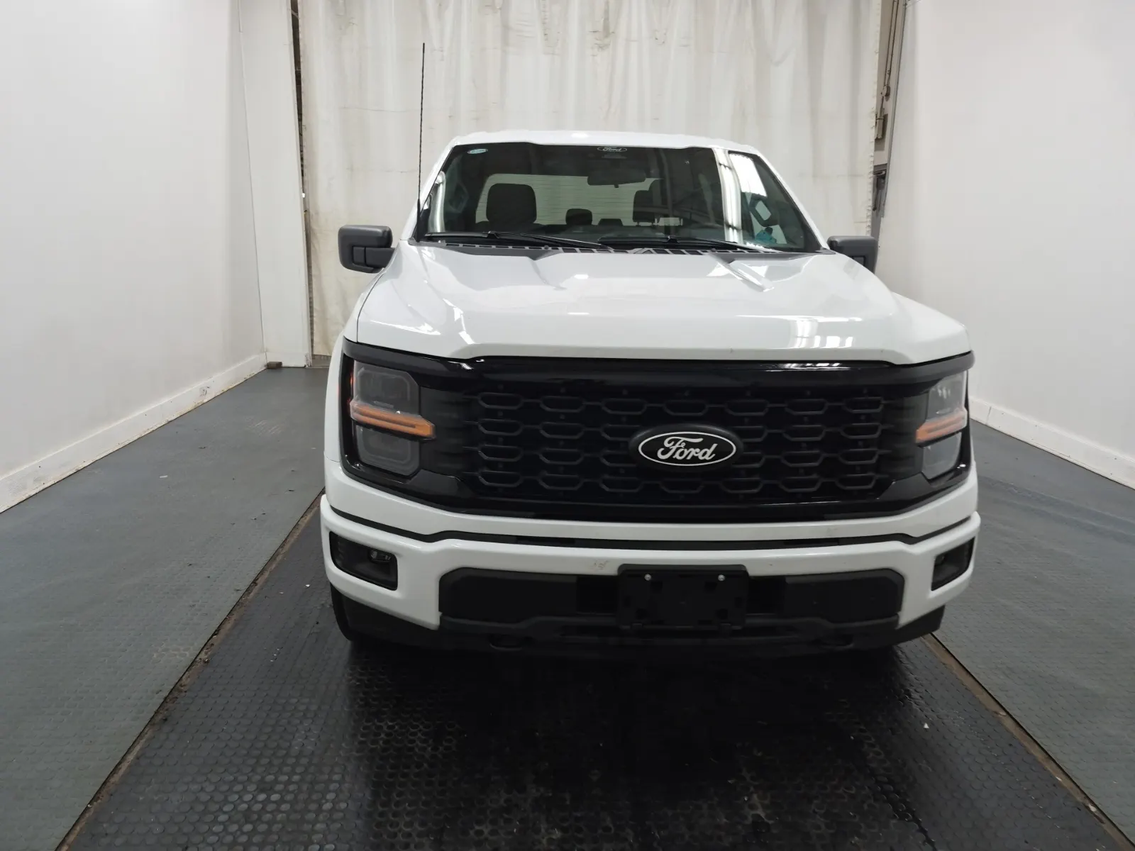 Full Front Photo