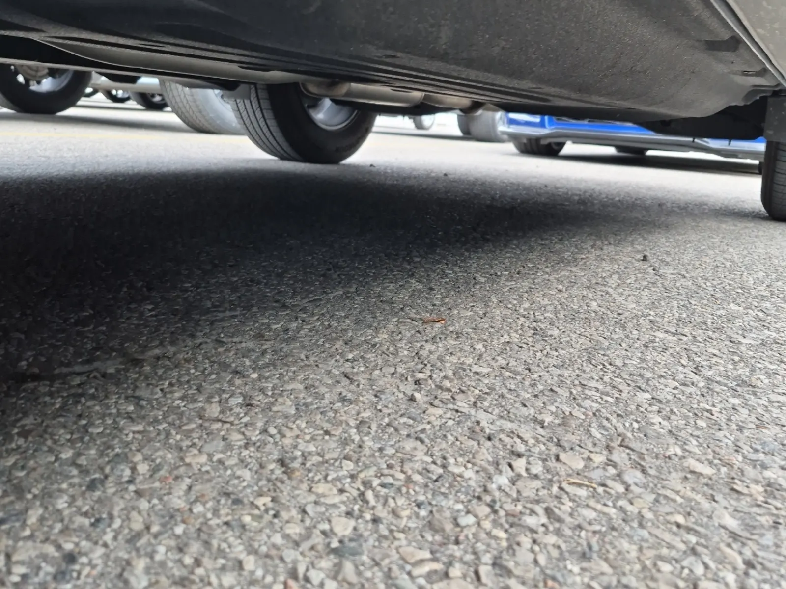 Undercarriage - Driver Photo
