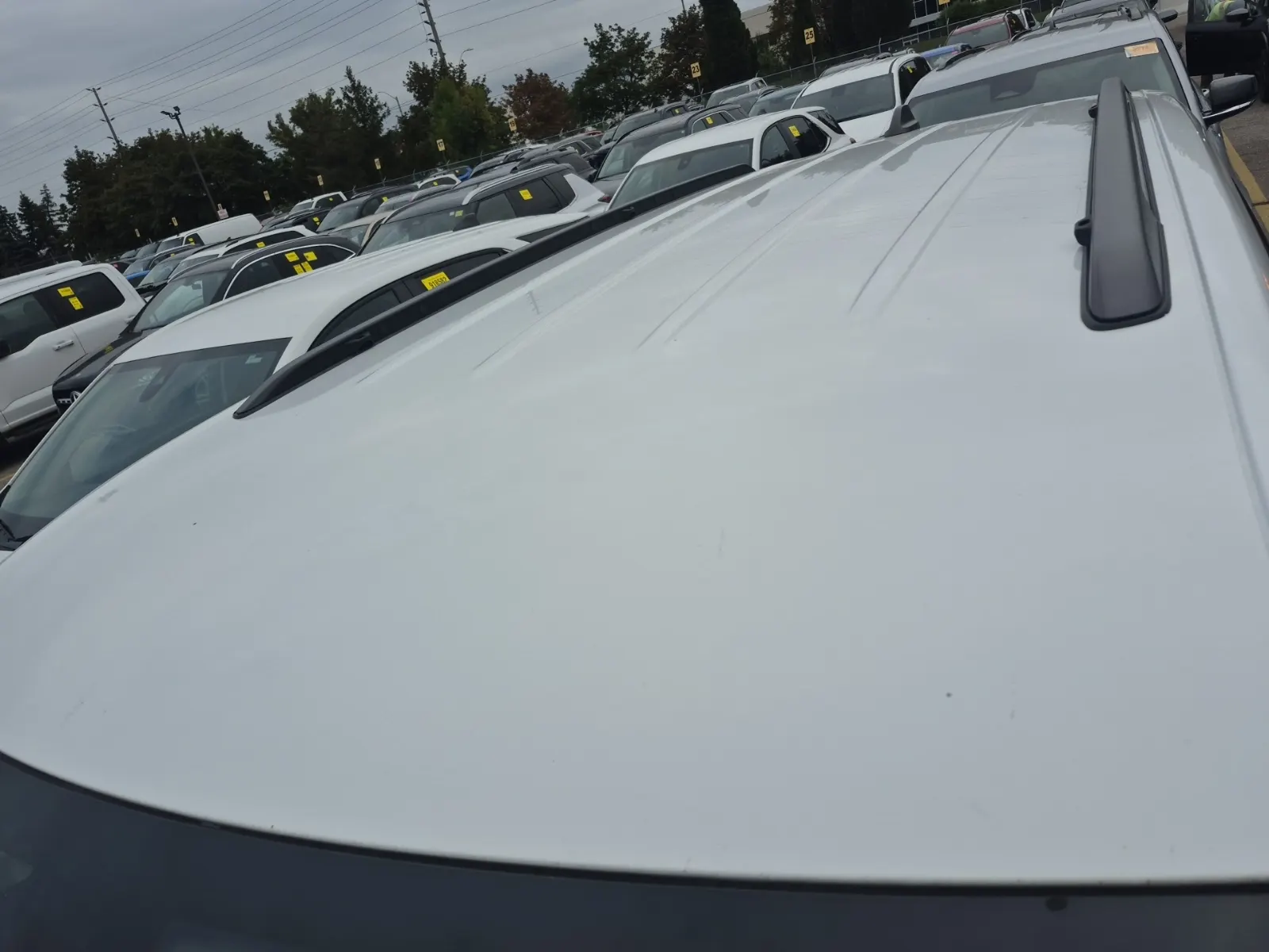 Exterior Roof Photo