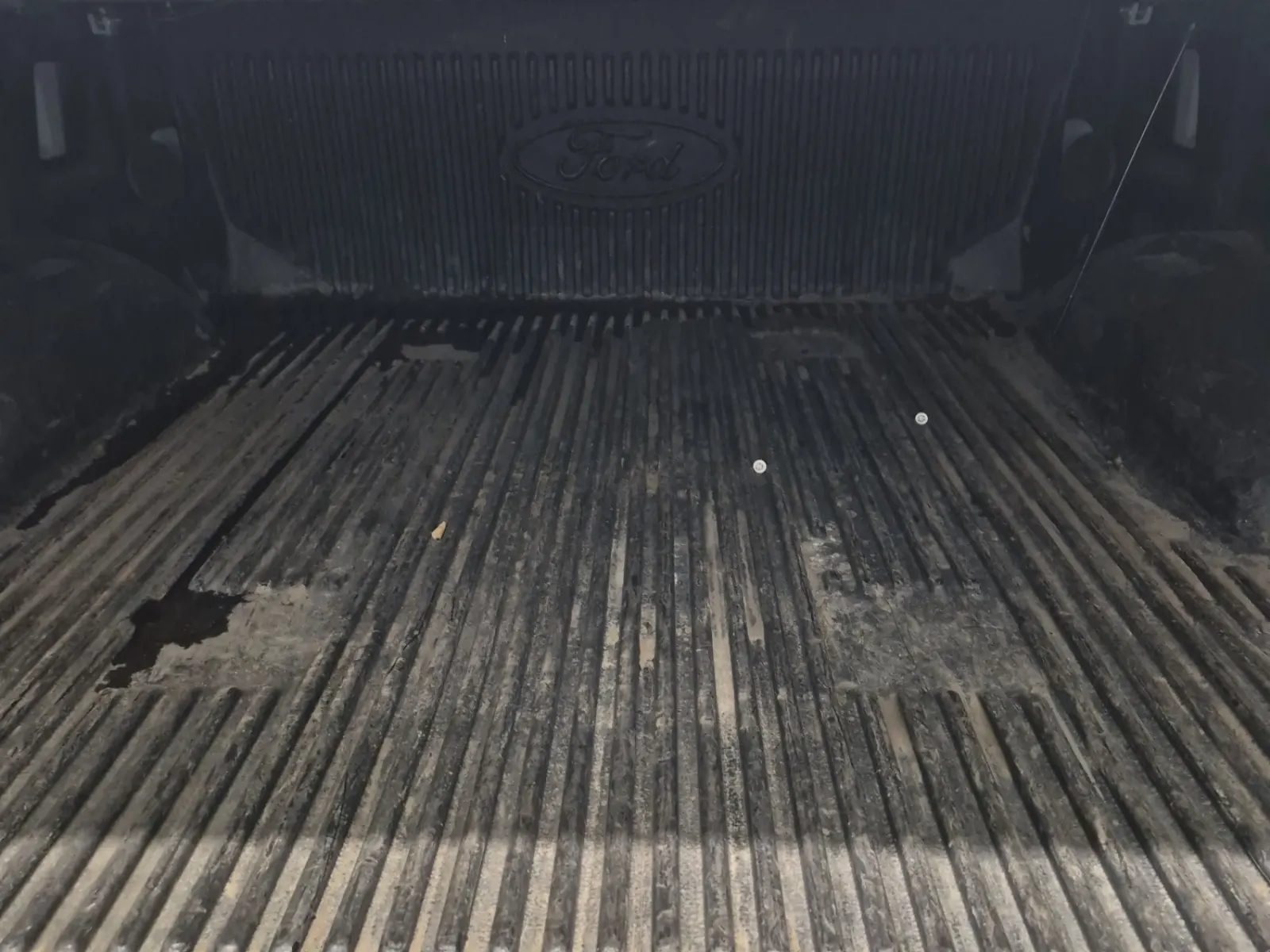 Cargo Area Photo