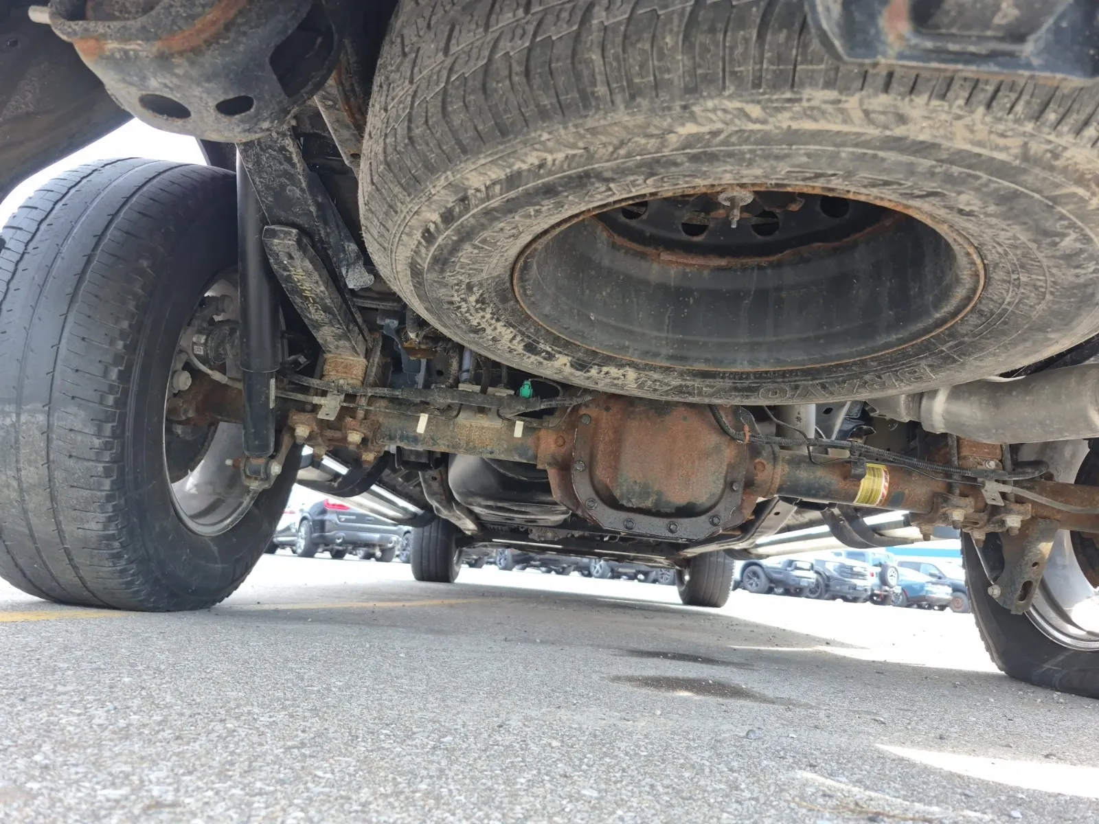 Undercarriage - Rear Photo