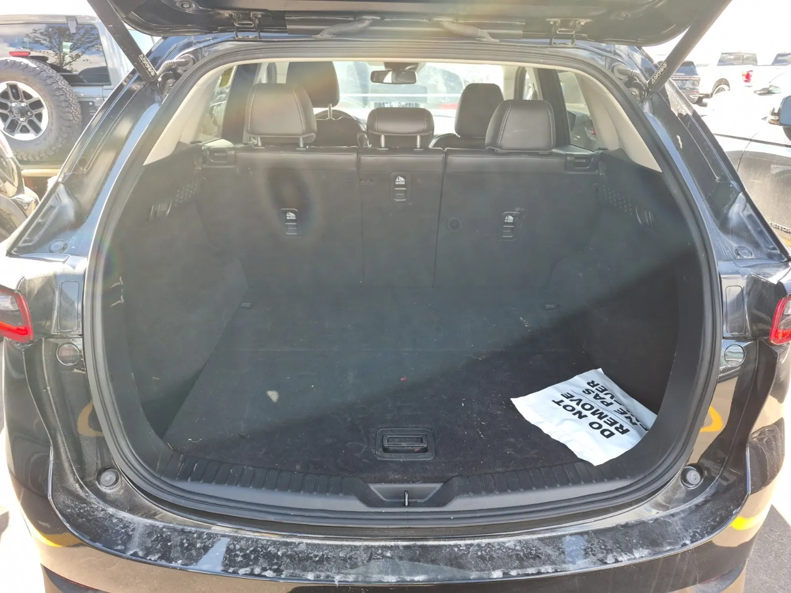 Cargo Area Photo