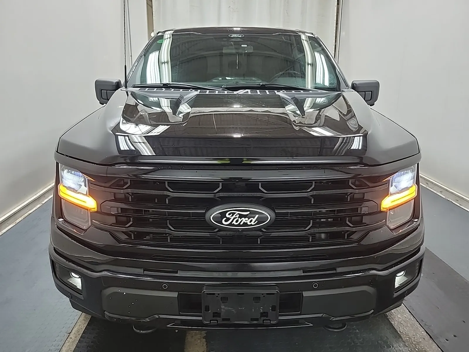 Full Front Photo