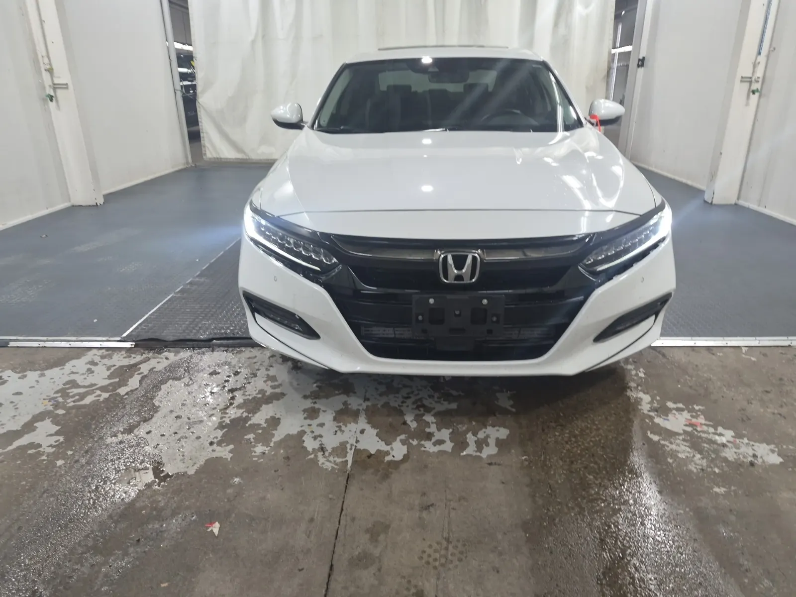 Full Front Photo