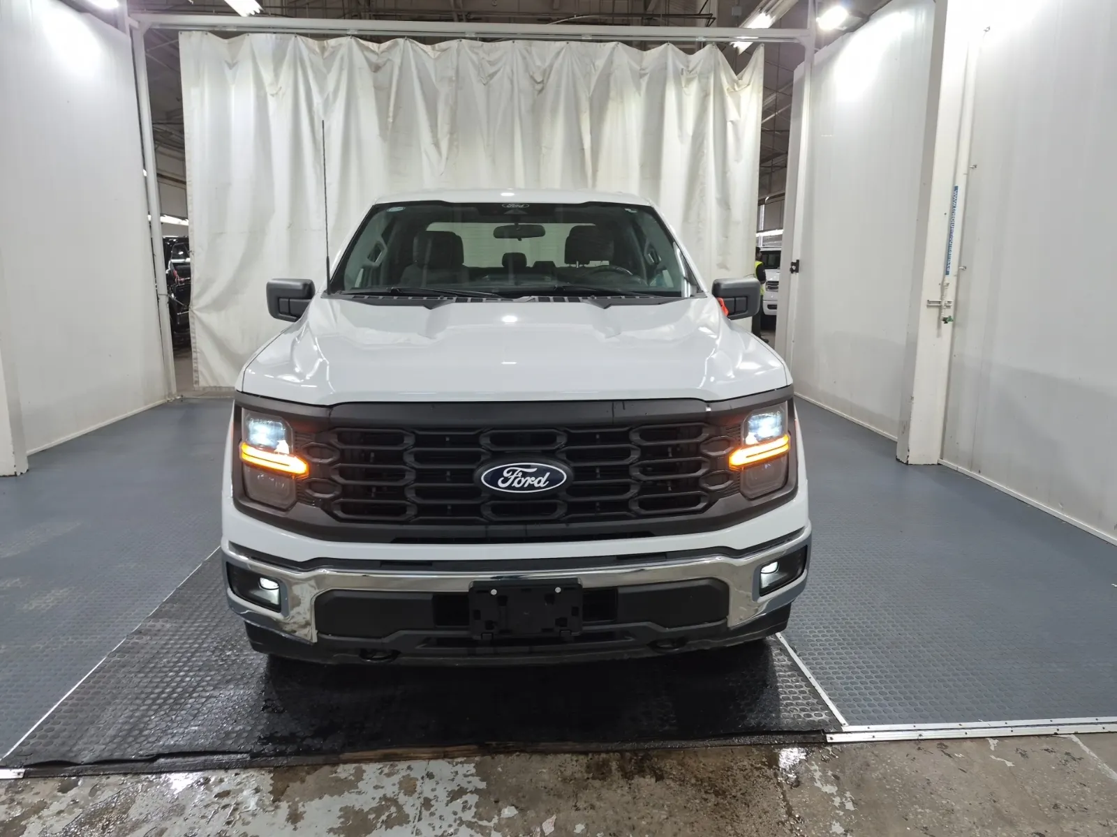 Full Front Photo
