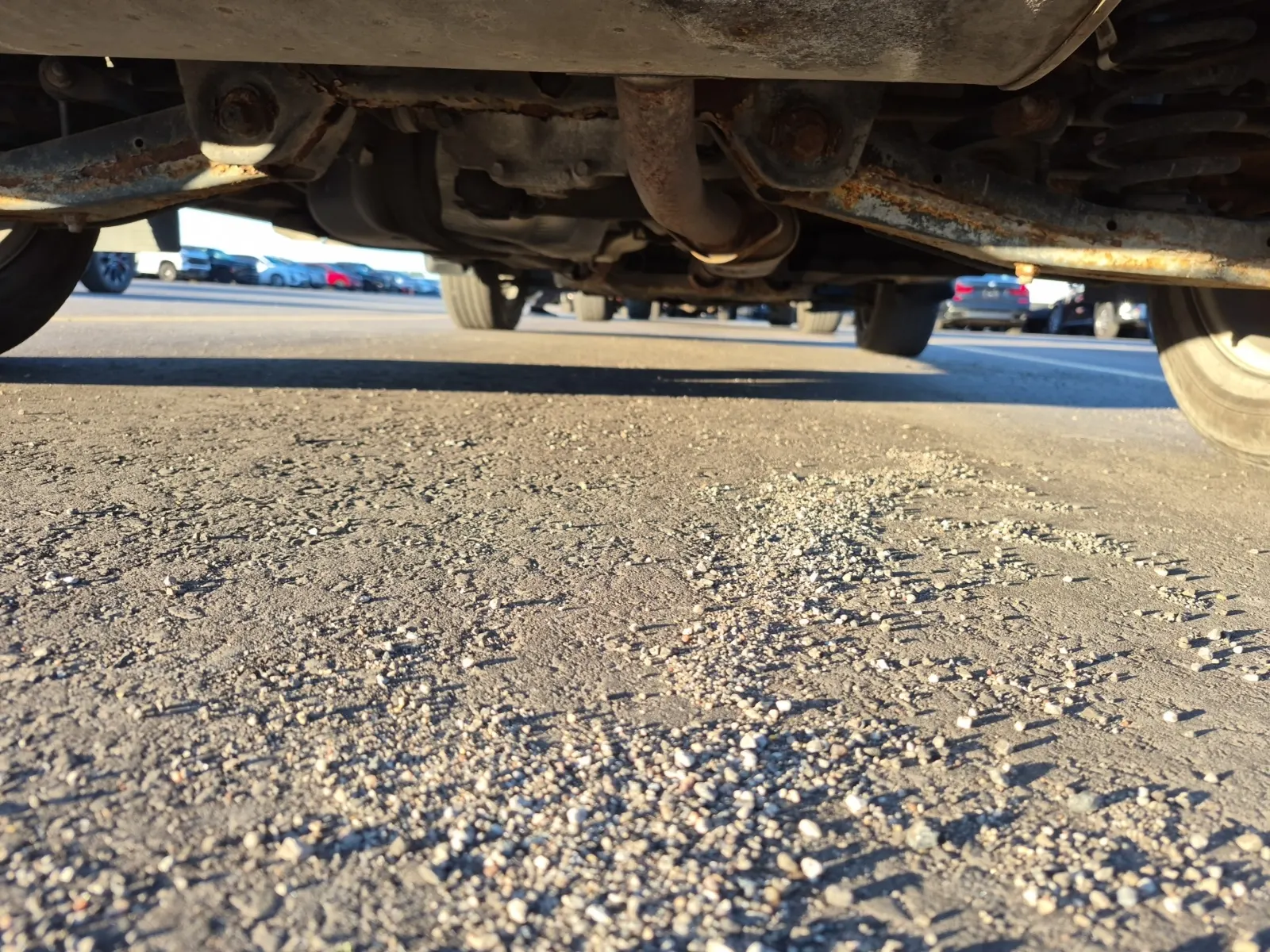 Undercarriage - Rear Photo