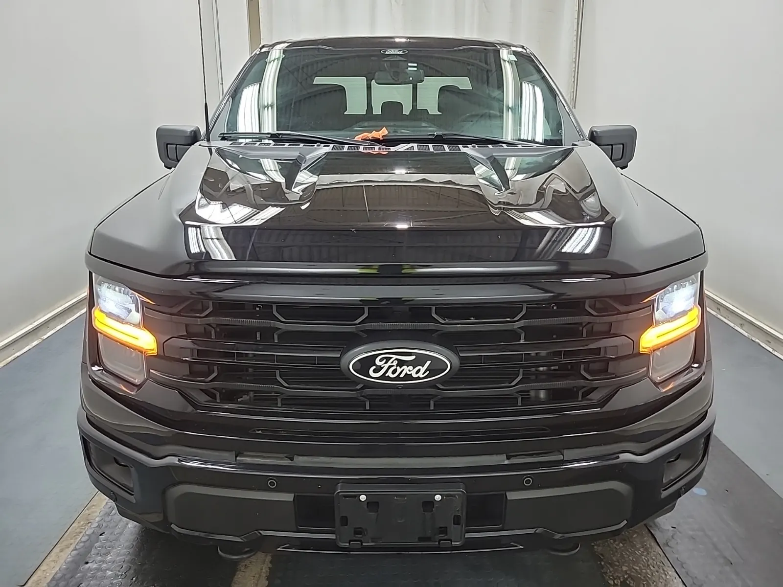 Full Front Photo