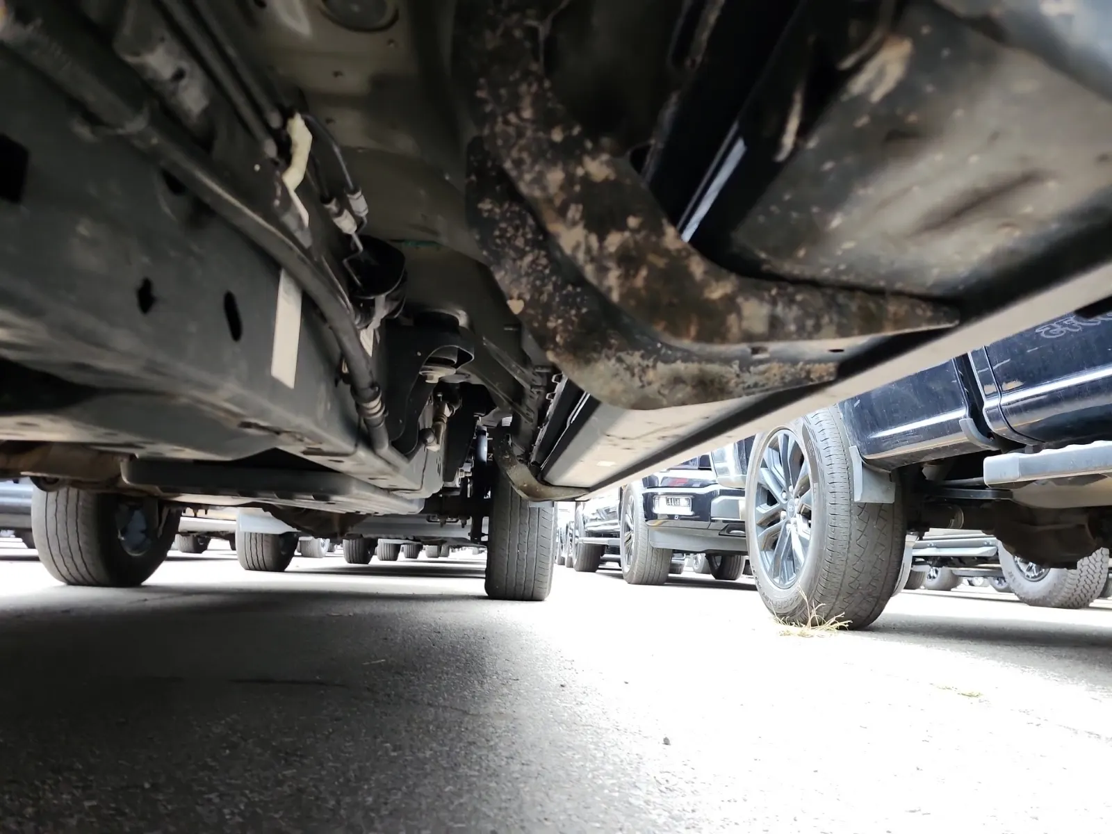 Undercarriage - Driver Photo