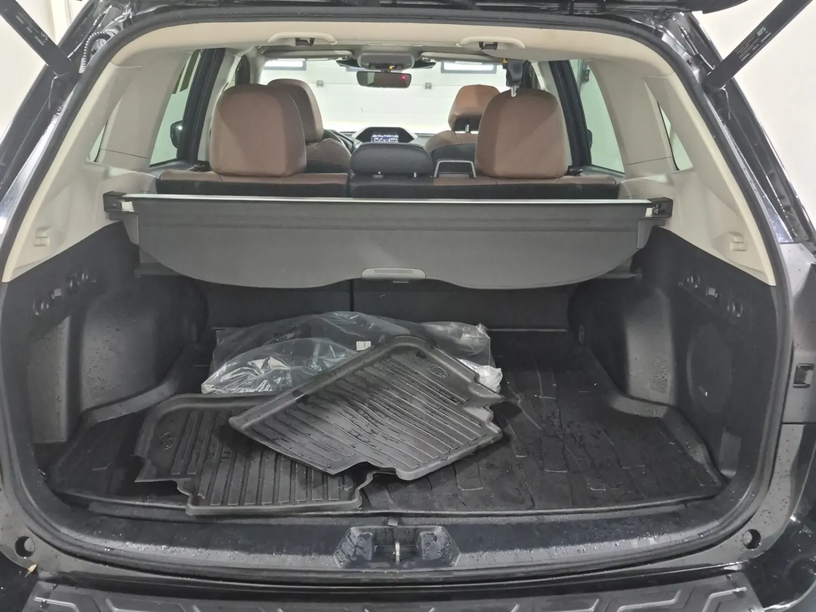Cargo Area Photo