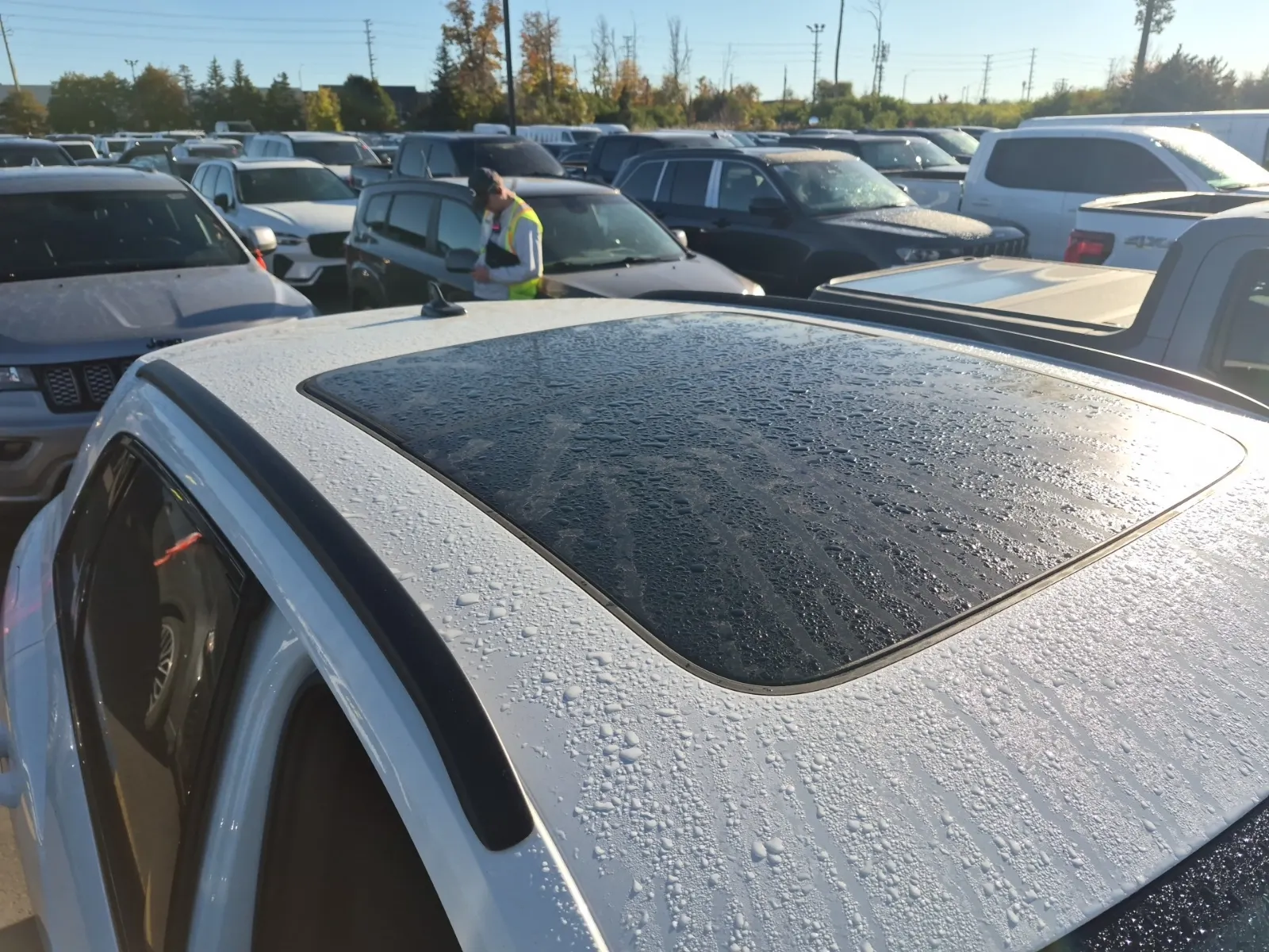 Exterior Roof Photo