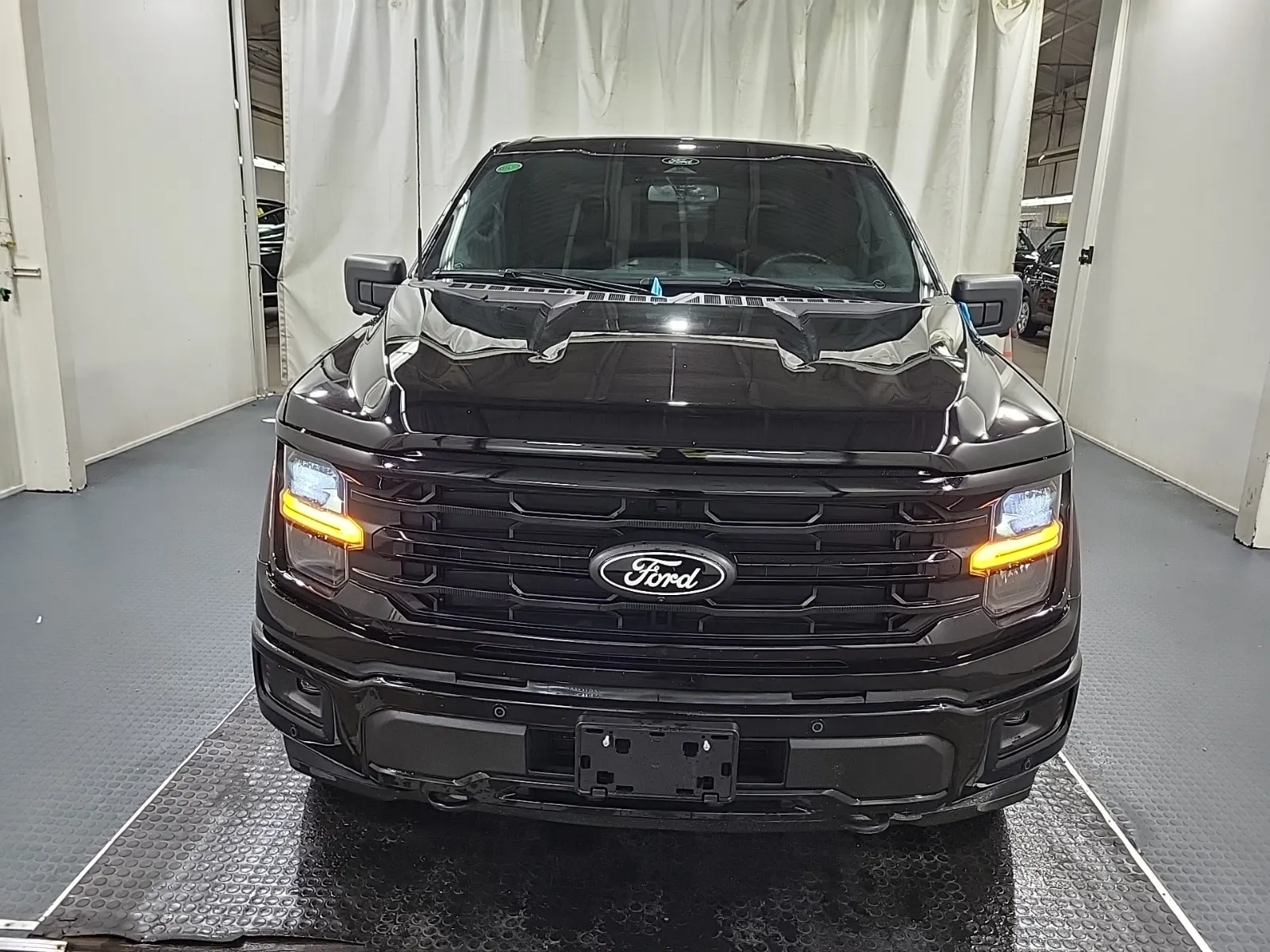 Full Front Photo
