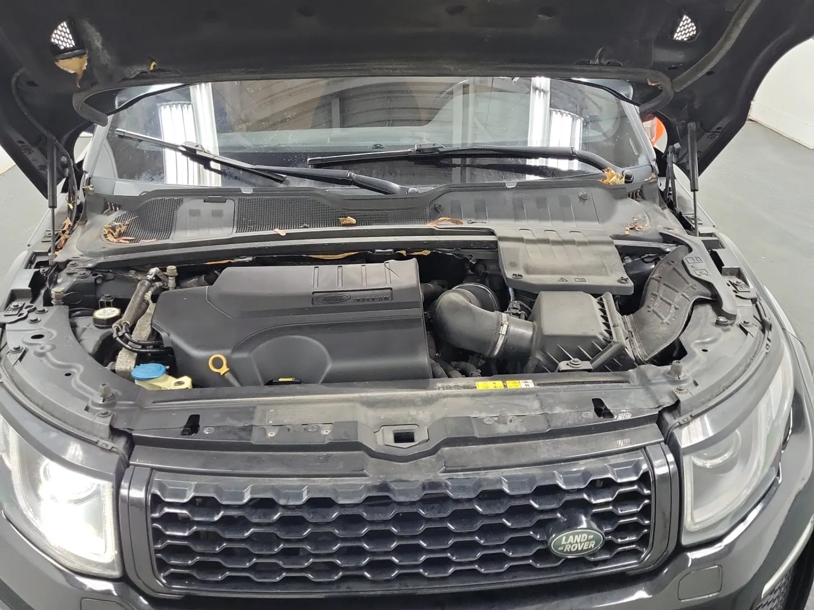Engine Photo