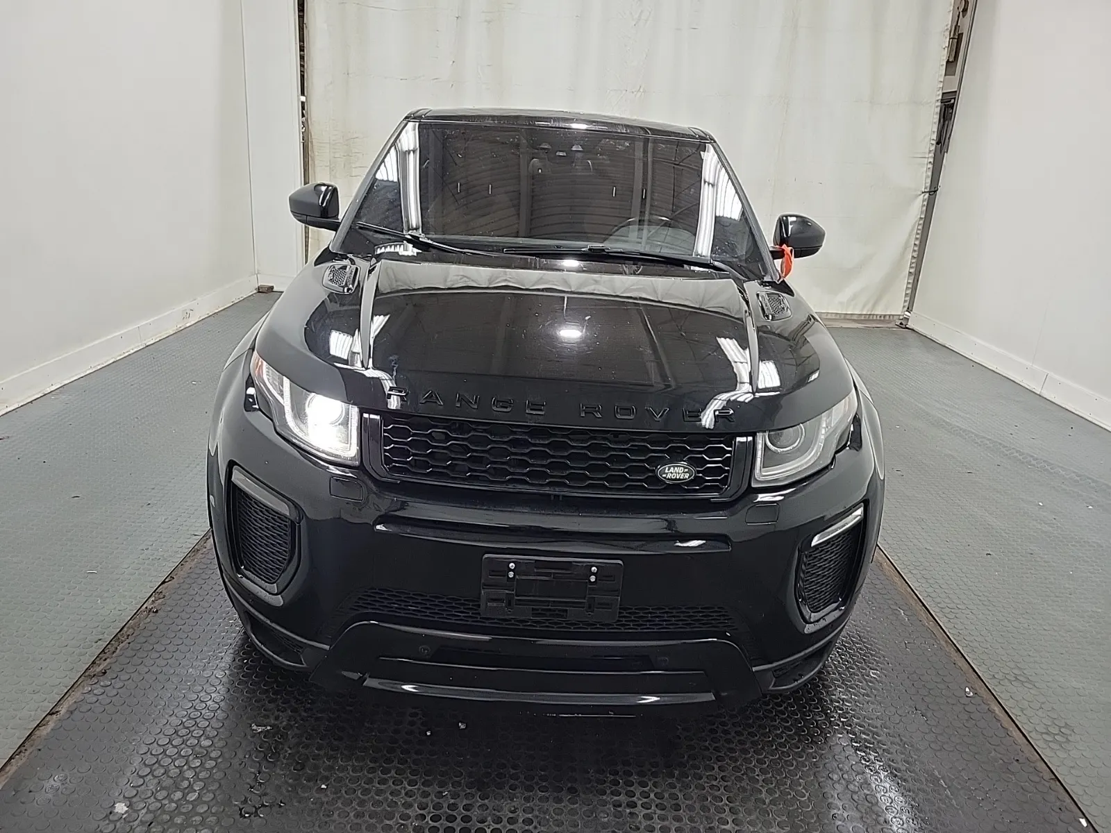 Full Front Photo