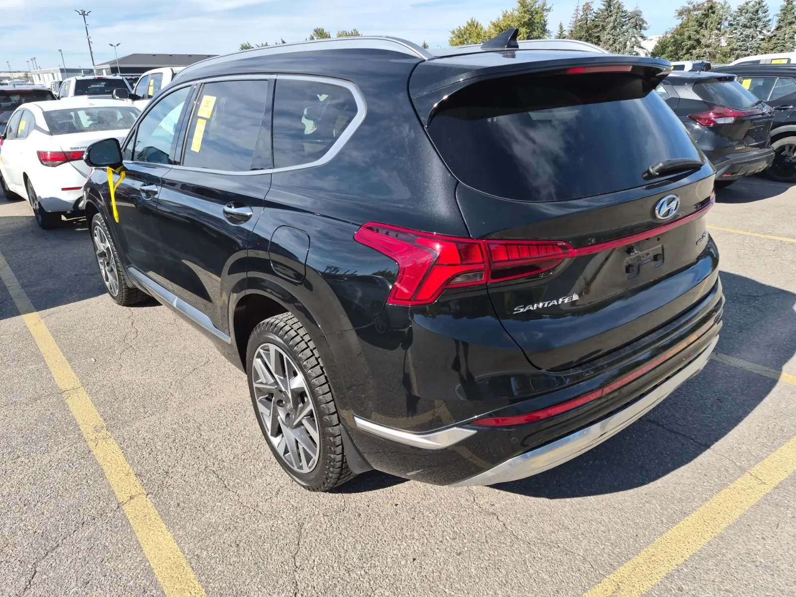 Driver Rear 3/4 Photo