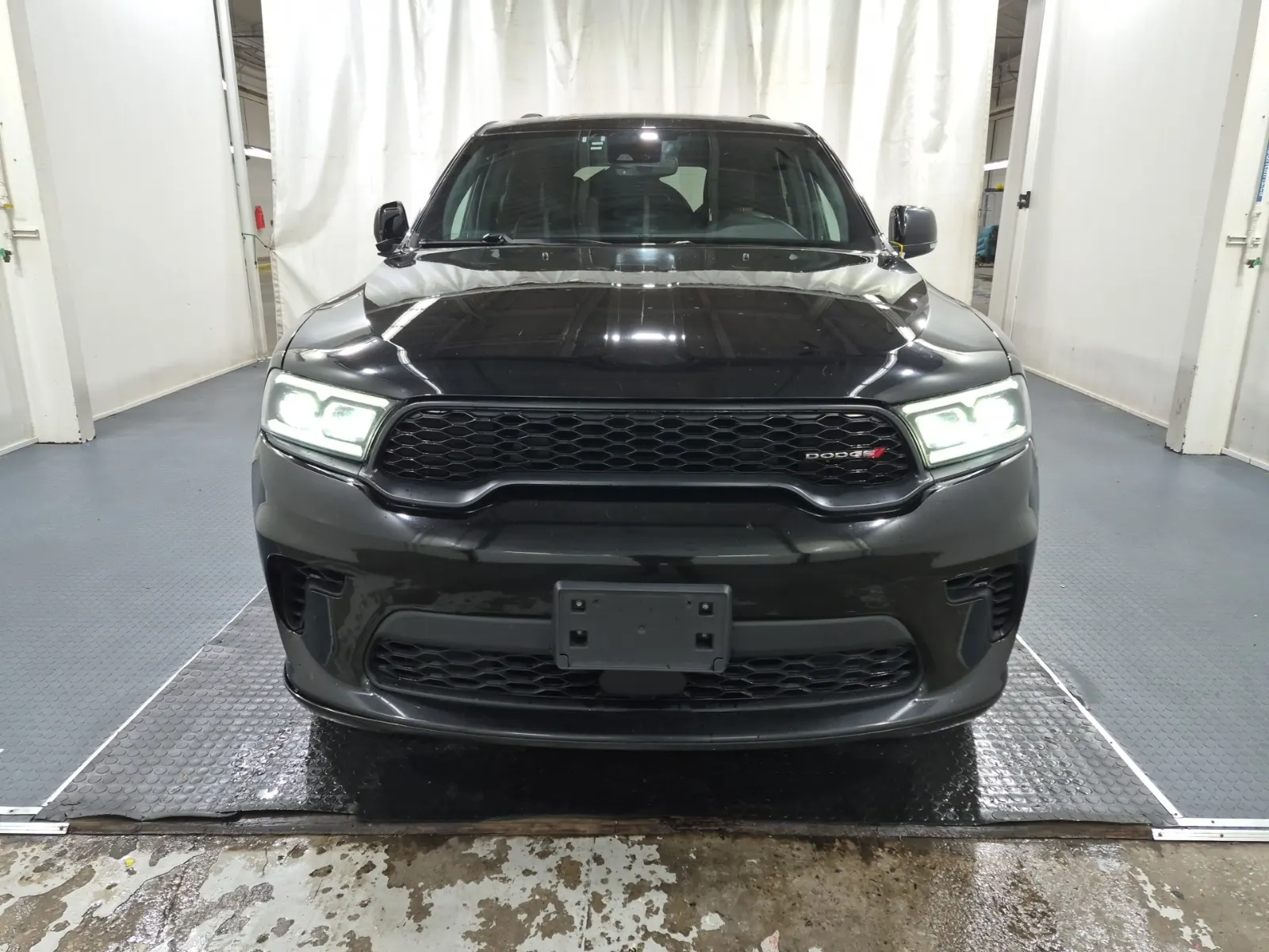 Full Front Photo