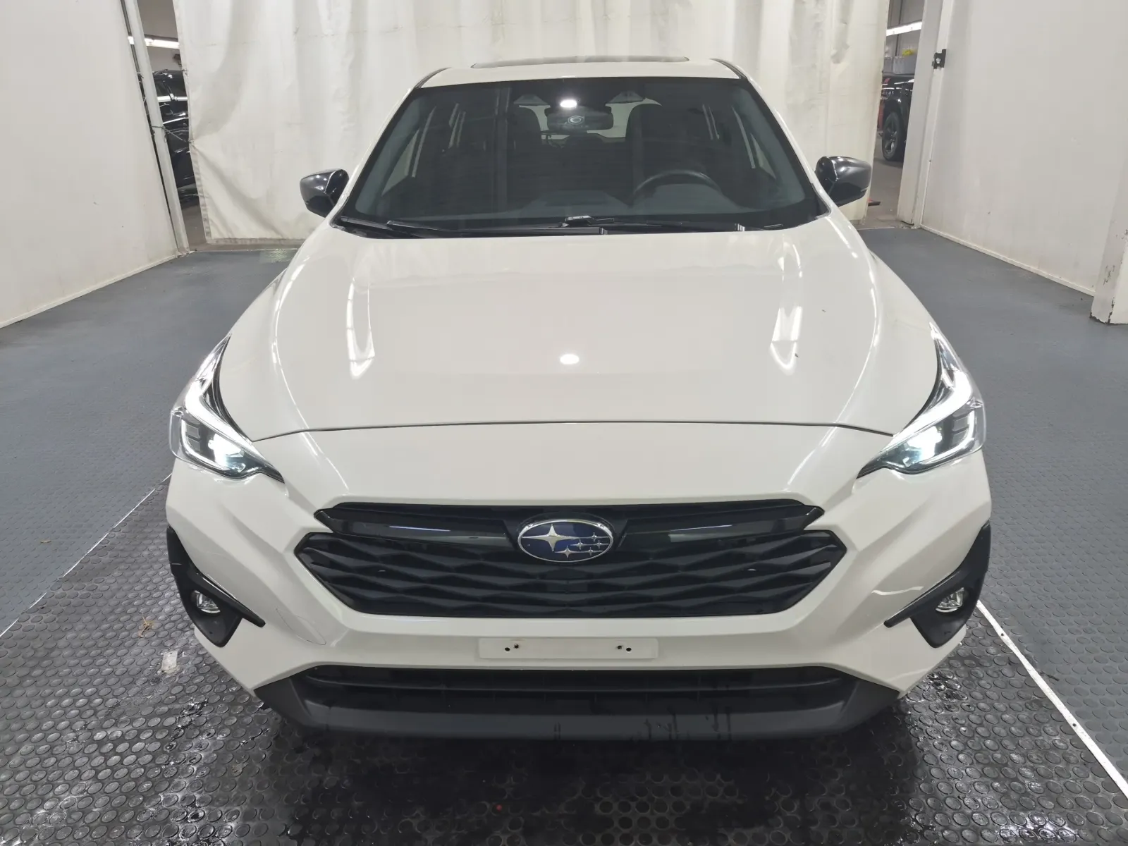 Full Front Photo