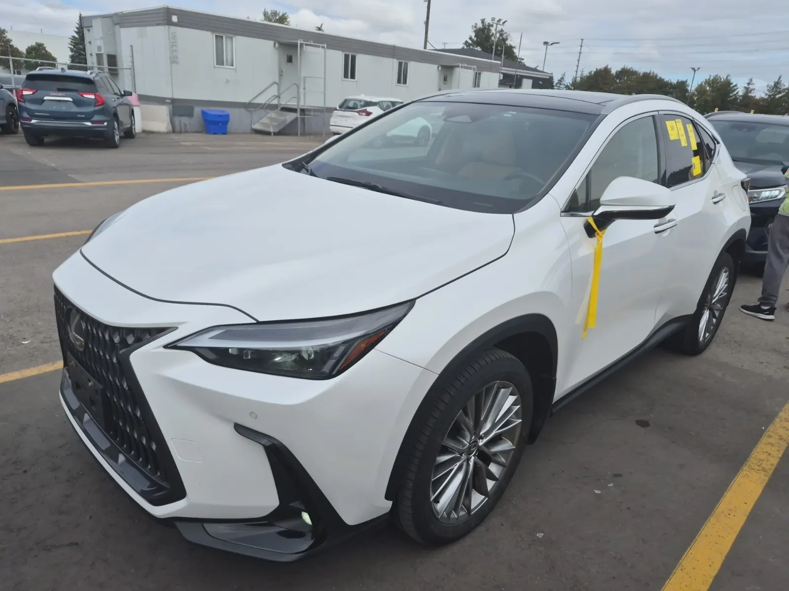 2024 Lexus NX