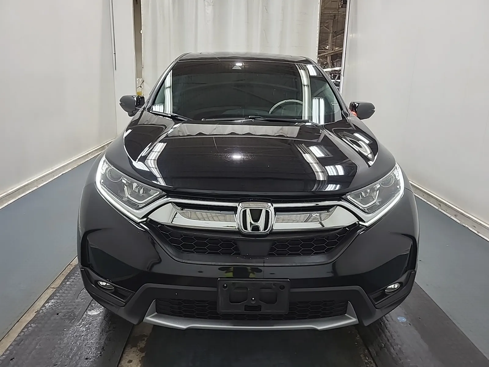 Full Front Photo