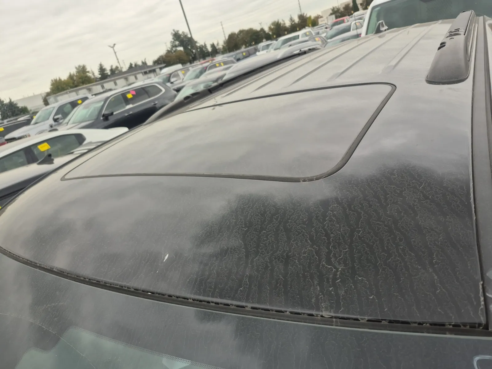 Exterior Roof Photo