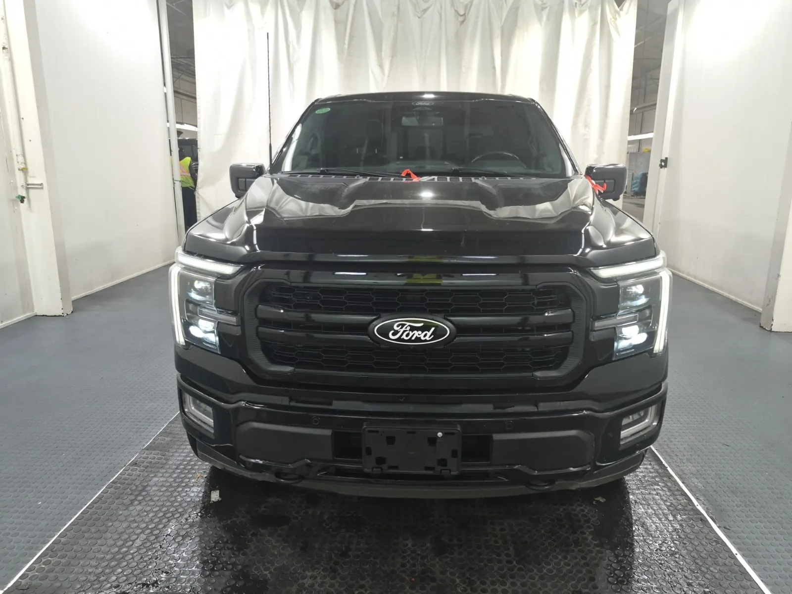 Full Front Photo