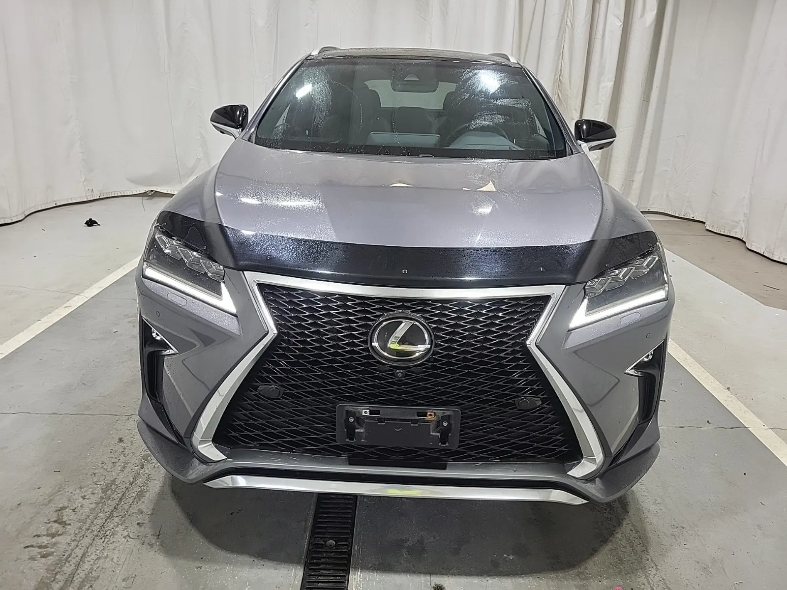 Full Front Photo