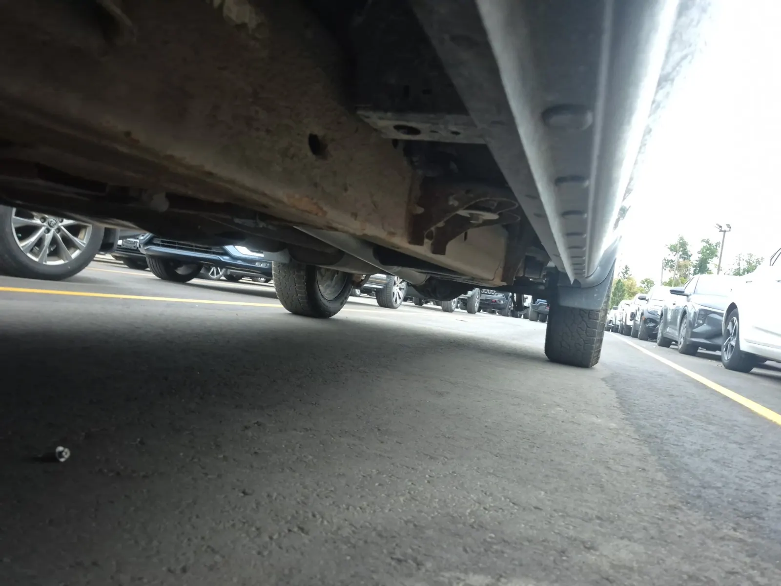 Undercarriage - Driver Photo