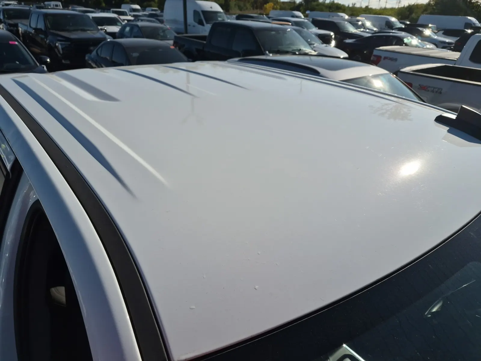 Exterior Roof Photo