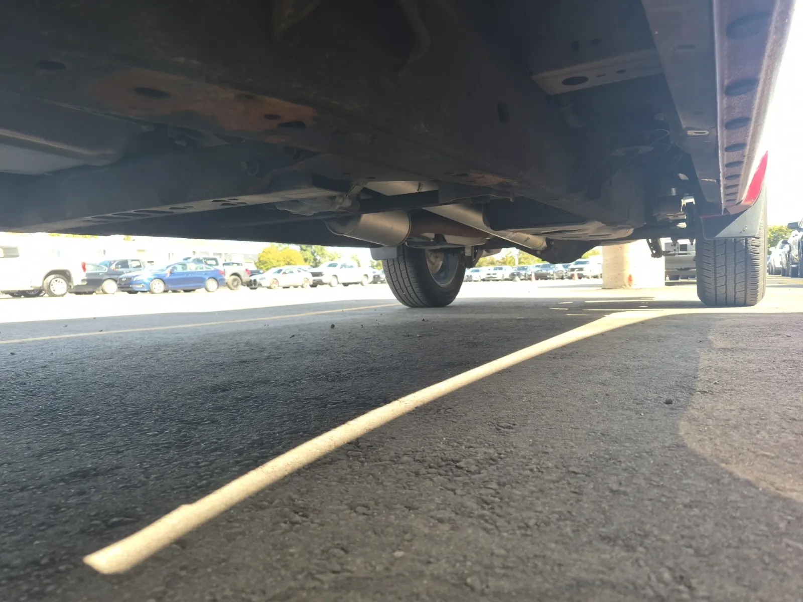 Undercarriage - Driver Photo