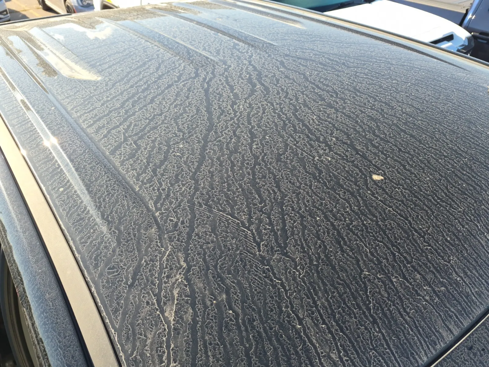 Exterior Roof Photo