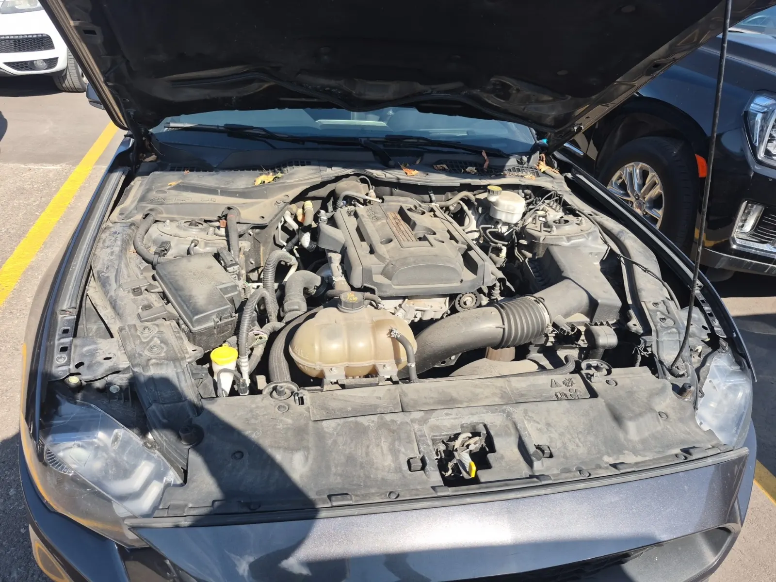 Engine Photo