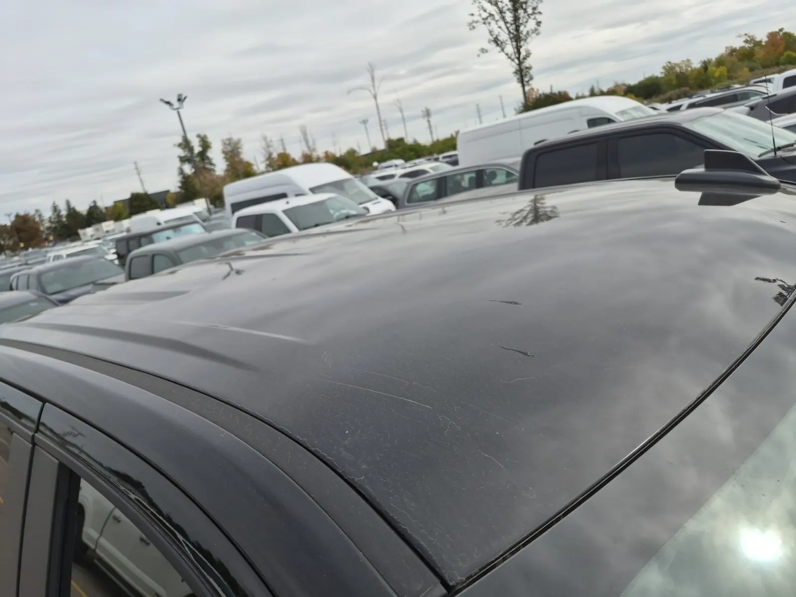Exterior Roof Photo
