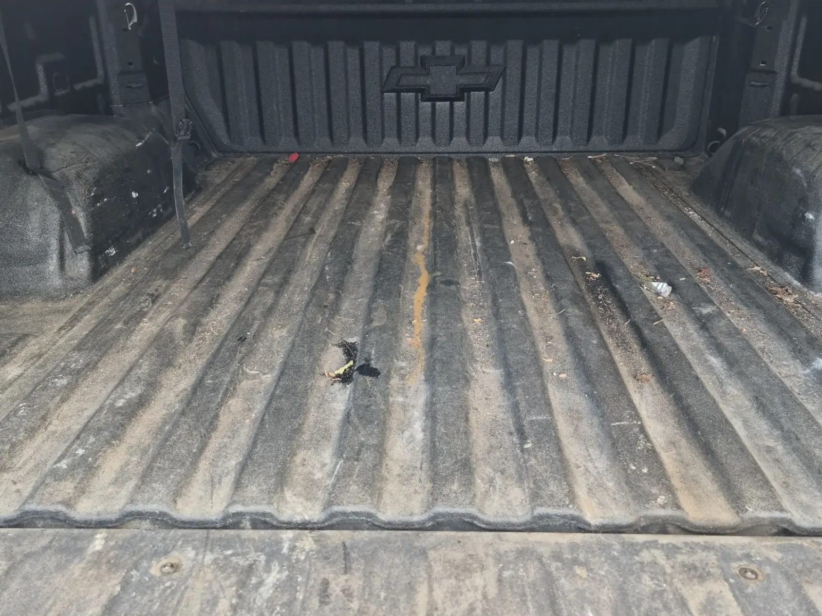 Cargo Area Photo