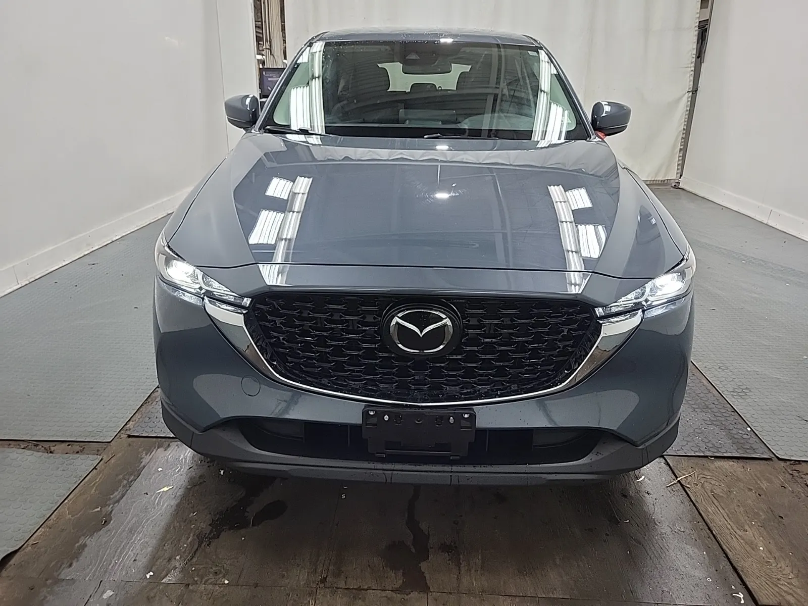 Full Front Photo