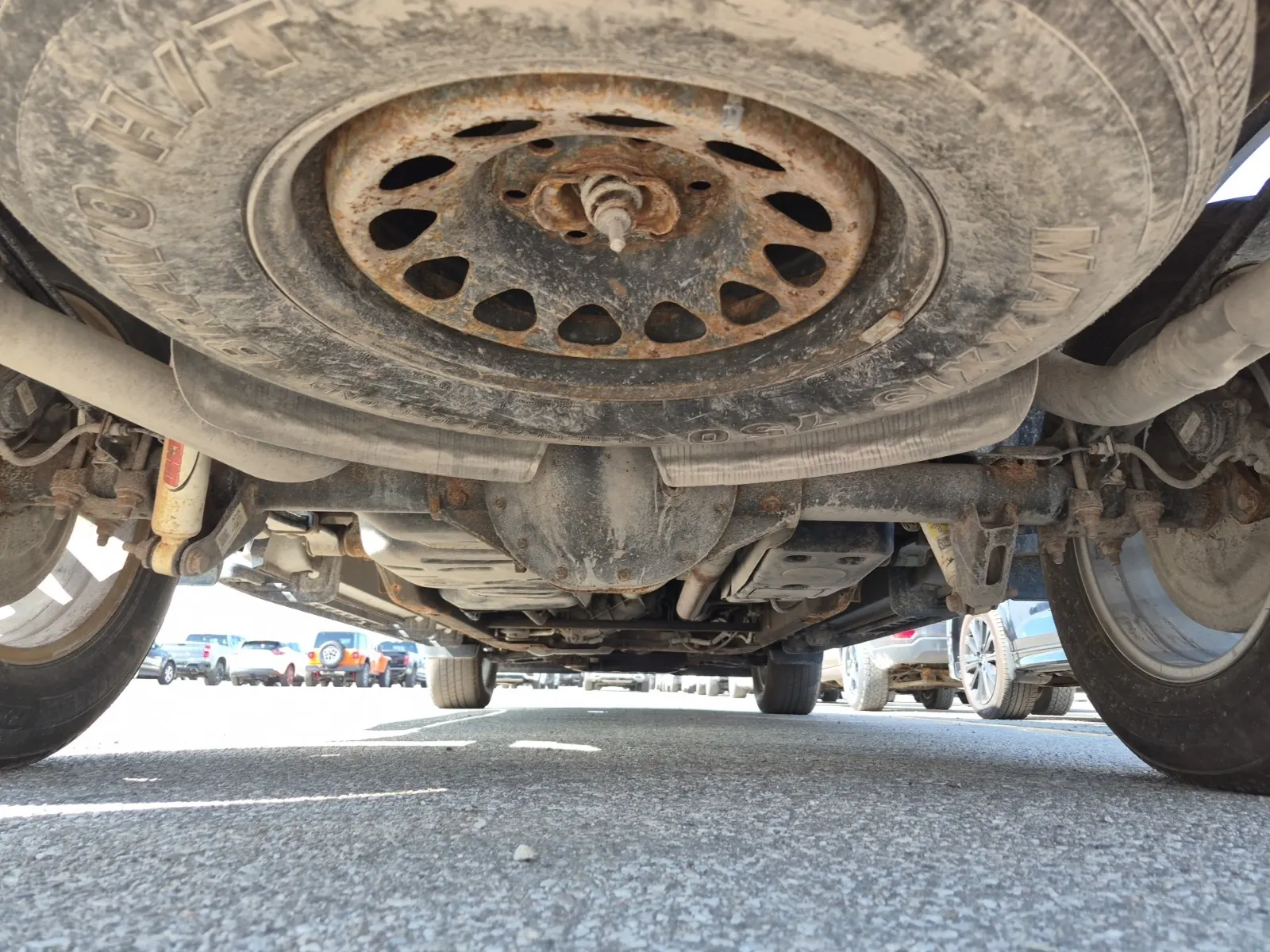 Undercarriage - Rear Photo