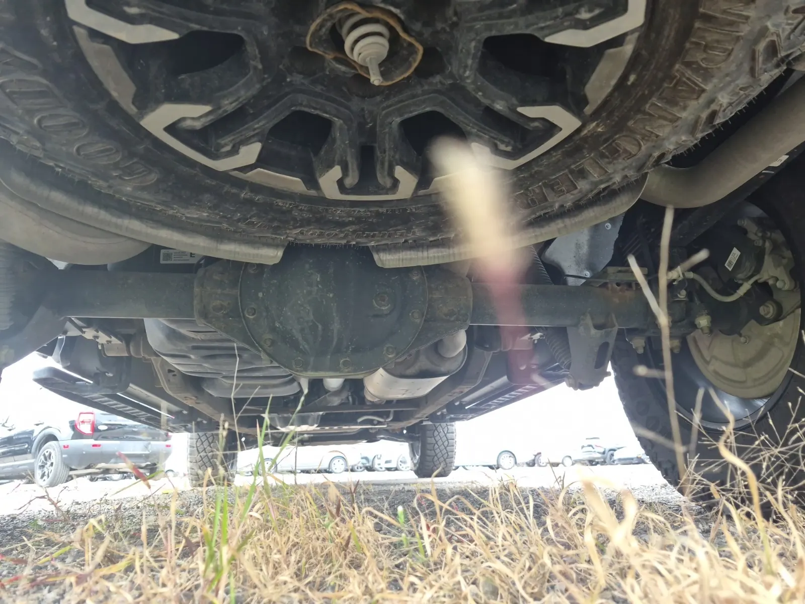 Undercarriage - Rear Photo