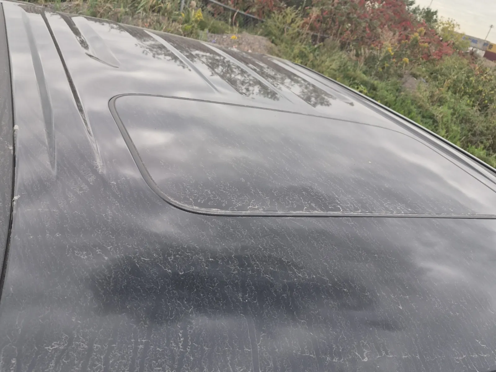 Exterior Roof Photo