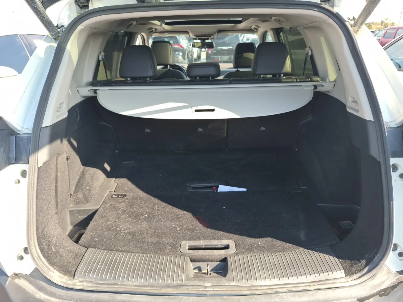 Cargo Area Photo
