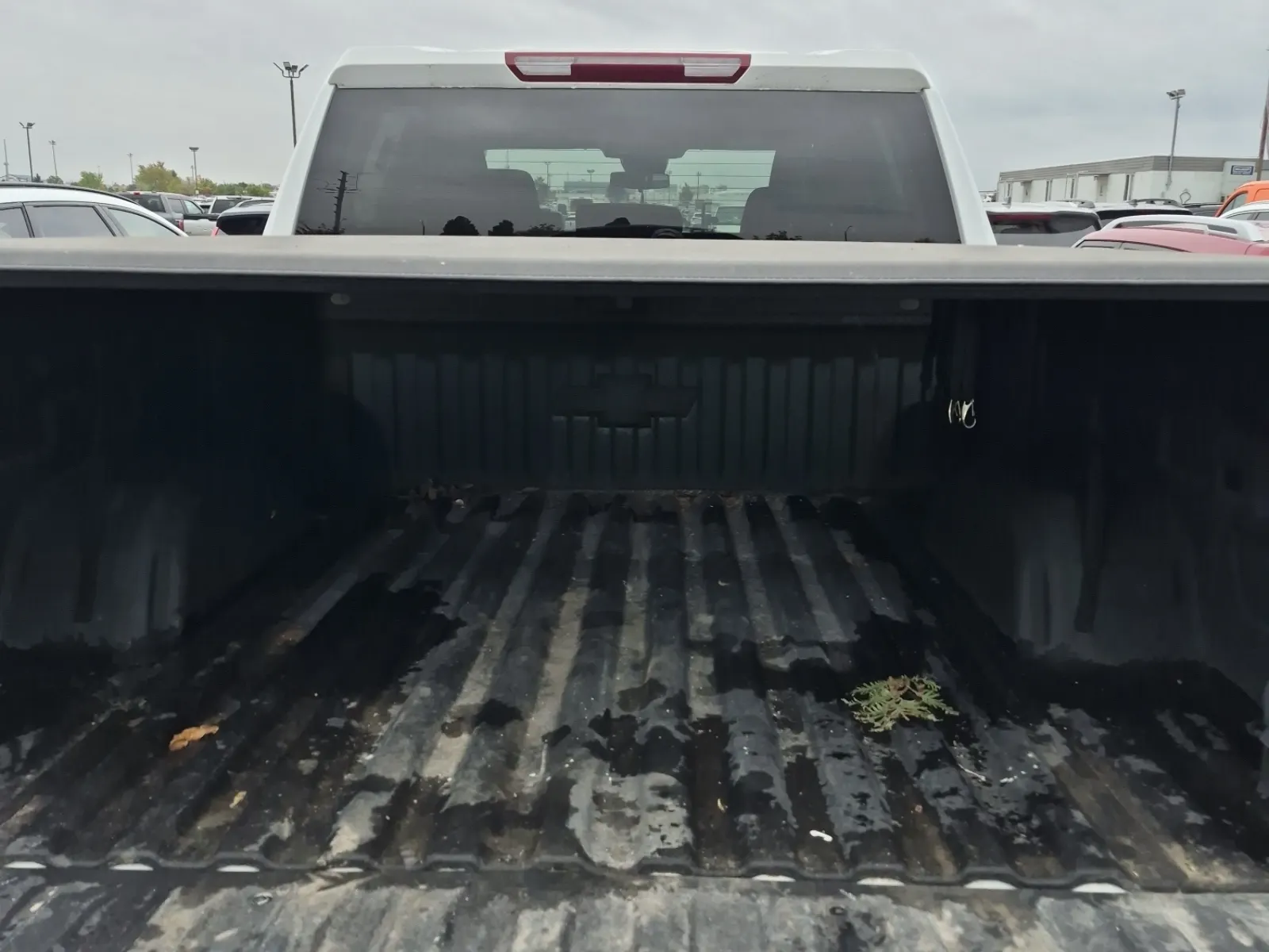 Cargo Area Photo