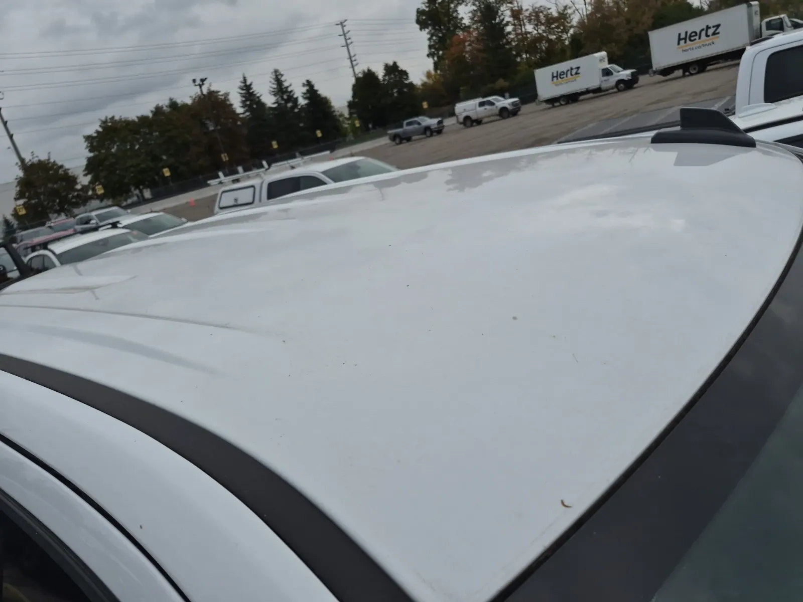 Exterior Roof Photo
